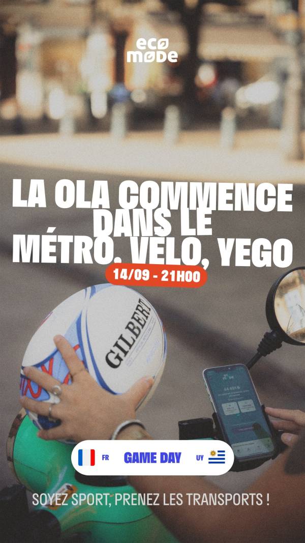 Illustration du projet Coupe du Monde de Rugby